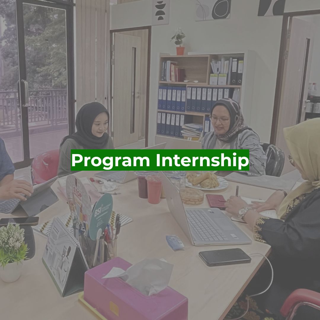 Program Internship